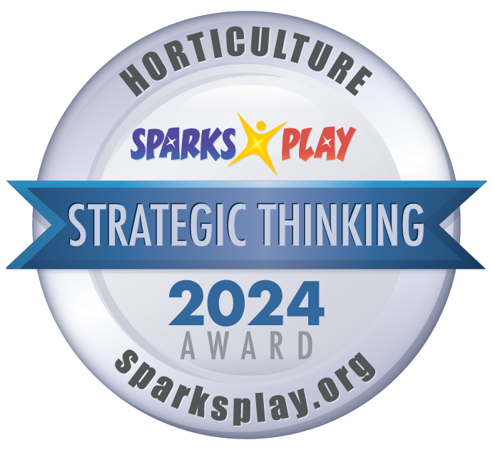 Sparks Play - Strategic Thinking